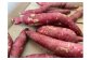 ※天候等やその他条件により入る野菜が変更になることがございますので、あらかじめご了承ください。