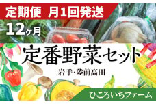 【定期便12ヶ月／毎月1回発送】ひころいちファーム定番野菜セット（農家の気持ち体験型野菜の詰め合わせ） 岩手 陸前高田 農業