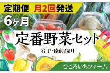 【定期便6ヶ月／毎月2回発送：合計12回発送】ひころいちファーム定番野菜セット（農家の気持ち体験型野菜の詰め合わせ） 岩手 陸前高田 農業
