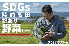 農家のおすそわけ（訳アリ）野菜便（お試し）【 農家 野菜詰め合わせ 野菜 詰め合わせ セット 訳あり 】 RT1890