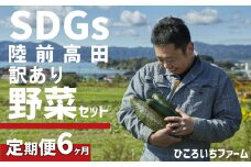【定期便6ヶ月】農家のおすそわけ（訳アリ）野菜便【 農家 野菜詰め合わせ 野菜 詰め合わせ セット 訳あり 】RT1891