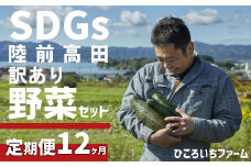 【定期便12ヶ月】農家のおすそわけ（訳アリ）野菜便【 農家 野菜詰め合わせ 野菜 詰め合わせ セット 訳あり 】 RT1892