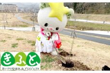 【思いやり型返礼品】AidTAKATA（みんなのゆめちゃんハウス）が植樹した桜の1年間維持管理費