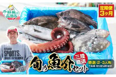 【3ヶ月定期便 / 下処理する】特選 三陸海の恵み詰め合わせ(1回あたりのお届け目安：2～3人用) 【 無添加 鮮魚 三陸産 国産 天然 海鮮 お刺身 魚介 魚介類 詰め合わせ セット お手軽 】岩手 陸前高田市 産地直送 RT1000