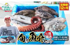 【12ヶ月定期便 / 下処理しない】三陸海の恵み詰め合わせ(1回あたりのお届け目安：1～2人用) 【 無添加 鮮魚 三陸産 国産 天然 海鮮 お刺身 魚介 魚介類 詰め合わせ セット 鮮魚BOX ボックス お祝い 宴会 時短 便利 簡単 お手軽 】岩手 陸前高田市 産地直送 RT1191