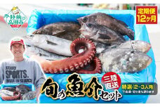 【12ヶ月定期便 / 下処理しない】特選 三陸海の恵み詰め合わせ(1回あたりのお届け目安：2～3人用) 【 無添加 鮮魚 三陸産 国産 天然 海鮮 お刺身 魚介 魚介類 詰め合わせ セット お手軽 】岩手 陸前高田市 産地直送 RT1187