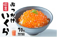 ＼TVで紹介されました／ いくら 醤油漬け 70g 鮭卵 小分け カップタイプ 最上級グレード 3特  【 お試し ikura 鮭 鮭卵 醤油 海鮮 魚卵 醤油漬け イクラの醤油漬け 国産 冷凍 】 RT1940