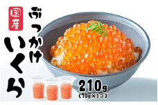 ＼TVで紹介されました／ いくら 醤油漬け 210g (70g×3個) 鮭卵 小分け カップタイプ 最上級グレード 3特 【 お試し ikura 鮭 鮭卵 醤油 海鮮 魚卵 醤油漬け イクラの醤油漬け 国産 冷凍 】RT1963