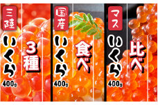 ＼お届け日が選べる／「三陸産・国産・鱒 ( ます ) いくら醤油漬け 【3種食べ比べセット】 1.2kg  詰め合わせ 【 アソート 鮭 小分け 鮭卵 ikura 鱒 海鮮 魚卵 人気 いくら醤油漬 便利 】