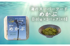 広田湾漁協からお届け！海のスーパーフードめかぶ【(40ｇ×2パック)×6】