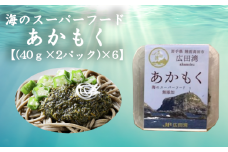 広田湾漁協からお届け！海のスーパーフードあかもく【(40ｇ×2パック)×6】
