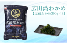 広田湾漁協からお届け！広田湾わかめ(塩蔵わかめ300g×3袋)