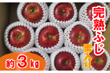 先行予約【清水農園】完熟りんご 「ふじ」 約3kg ★蜜入り★ 【 リンゴ 林檎 果物 フルーツ 期間限定 数量限定 】 2025年12月頃から発送予定 RT2226 