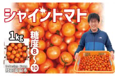 『シャイントマト』 1kg (1000g) 糖度8度～10度 品種：ちばさんさん 【 甘い フルーツトマト β-カロテン ビタミンC 豊富 アイメック 次世代農法 まるでフルーツ 】RT2241