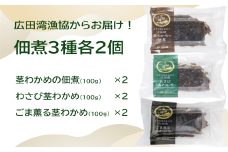 広田湾漁協からお届け！佃煮3種各2個セット 〈 茎わかめ佃煮 / わさび茎わかめ佃煮 / ごま薫る茎わかめ佃煮 〉