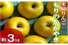 【煌め希りんご園】りんご 希少品種 「もりのかがやき」 約3kg 米崎りんご 【 リンゴ 林檎 旬 新鮮 産地直送 数量限定 】 2024年9月下旬頃～発送予定 RT2260