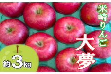 【煌め希りんご園】りんご 希少品種 「大夢」 約3kg 米崎りんご 【 リンゴ 林檎 旬 新鮮 産地直送 数量限定 】 2024年10月下旬頃～発送予定