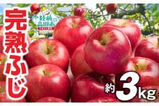 先行予約【清水農園】 完熟りんご 「ふじ」 約3kg  【 リンゴ 林檎 果物 フルーツ 期間限定 】  2025年11月下旬頃から発送予定 RT2263