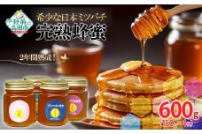  ＼感謝を込めて／ 2年間熟成！ 希少な日本ミツバチ完熟蜂蜜 150g×4個 セット 【 数量限定 はちみつ 蜂蜜 完熟 百花蜜 無添加 岩手 陸前高田 】 RT2282