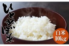 【令和7年度産 先行予約】新米 海の見える農園で作った白米10kg ひとめぼれ 岩手 陸前高田市 RT542-R7