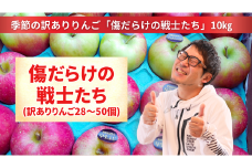 先行予約 【訳あり品】傷だらけの戦士たち 季節のりんご MIX 10kg 2種類以上お届け 【 リンゴ 品種 おまかせ 旬 お届け 岩手 陸前高田 】2025年10月下旬以降発送予定  RT2062