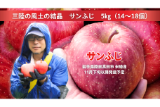 先行予約 【三陸の風土の結晶】 イドバダアップルの サンふじ 5kg 【 りんご 旬 お届け 岩手 陸前高田 】 2025年11月下旬以降発送予定 RT2061