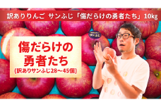 【訳あり品】傷だらけの勇者たち サンふじ 10kg 【 りんご 旬 お届け 岩手 陸前高田 】 2025年11月下旬以降発送予定 RT2063