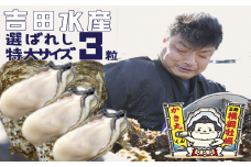横綱牡蠣！吉田水産の選ばれしむき身牡蠣 特大サイズ 3粒 数量限定 加熱用〈2025年1月以降発送〉【 むき身 牡蠣 大粒 特大 カキ むき身 かき 冷蔵 三陸 リアス海岸 広田湾 3年牡蠣 】RT2266