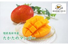 たかたの マンゴー 【 マンゴー 新鮮 フルーツ 贈答品 農薬不使用 】 陸前高田市産マンゴー