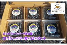 産地直送！ 生ブルーベリー 200g×6個 計1.2kg だいわフルーツパーク 【 果物 フルーツ ブルーベリー 品種おまかせ 食べ比べ 新鮮 】 RT2275