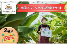 【現地で体験】岩手県陸前高田市で南国フルーツハウス見学 大人2名様分 濃厚スムージー付き 【 南国 フルーツ 見学 体験 果物 】 だいわフルーツパーク