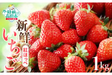 【数量限定】 新鮮いちご〈品種： 紅ほっぺ 〉 約1kg (250g×4パック) Happy Strawberry 旬の時期に収穫してすぐ発送！ 【 訳あり いちご フルーツ 旬 小分け 人気 岩手 陸前高田 】 RT2507