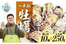 牡蠣生食用 殻付き牡蠣 10個 & 加熱用 むき身 牡蠣 250g セット 『一本松牡蠣』【 天然 牡蠣 かき 殻付き むき身 生食 大粒 人気 旬 産地直送 国産 陸前高田 三陸産 広田湾 】RT2377