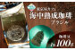 豆　100g　のお届けです！
