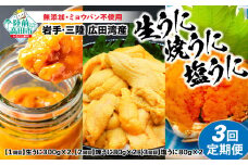 残りわずか【お申込期限：6月30日まで】【３回定期】うに好きにはたまらん！うに三昧定期便《１回目/生うに、2回目/焼きうに、3回目/塩うに》（各２個）ムラサキウニ