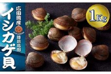 【先行予約】高級広田湾イシカゲ貝 約1kg (15～18個) ※期日指定不可※【 いしかげ貝 海産物 幻の貝 高級 刺身 岩手 陸前高田 】2025年6月頃～発送予定