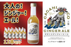 【 炭酸飲料 】 ガガニコ ジンジャーエール 12本セット ( 250ml × 12本 ) 【 飲み物 ノンアルコール 北限のゆず しょうが プレゼント 】