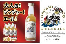 【 炭酸飲料 】 ガガニコ ジンジャーエール 6本セット ( 250ml × 6本 ) 【 飲み物 ノンアルコール 北限のゆず しょうが プレゼント 】