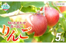 【仙果園】品種 おまかせ 旬 の りんご 食べ比べ セット 約5kg （14～18玉） 2種類以上 RT2467
