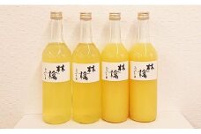 岡田りんご園のりんごジュース 720ml×4本 〈 品種：サンふじ、王林 〉【 りんご ジュース ギフト 岩手 陸前高田 】 RT2693