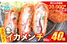 ゴロっとイカメンチ 60g × 40個【 サクサク お惣菜 お弁当 おかず いか たっぷり メンチカツ 簡単 調理 お好み焼き風 イカ 】RT2489