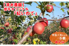 先行予約【清水農園】フレッシュ りんご 岩手県オリジナル品種「紅いわて」 約2kg 【 リンゴ 林檎 果物 フルーツ 期間限定 】2025年9月頃から順次発送予定 RT2224
