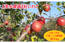 先行予約【清水農園】フレッシュ りんご 岩手県オリジナル品種「紅いわて」 約3kg 【 リンゴ 林檎 果物 フルーツ 期間限定 】2025年9月頃から順次発送予定 RT1711