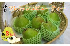 先行予約【清水農園】数量限定 フレミッシュビューティー ( 西洋梨 ) 約3kg 【 洋梨 梨 産地直送 農家直送 果物 フルーツ 濃厚 芳醇 デザート 】2025年8月下旬頃から発送予定 RT2509
