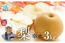 【先行予約】2025年8月頃から発送　梨 （幸水） 約 3kg RT2518