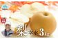 【先行予約です】