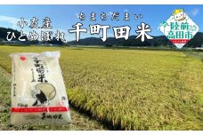 令和6年度産 布袋様パッケージのひとめぼれ 千町田米(ちまちだまい) 5kg 【 お米 精米 白米 ひとめぼれ 産地直送 数量限定 】RT2510