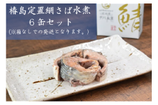 【椿島定置網】サバ水煮 缶詰 6缶セット 箱なし ご家庭用 【 無添加 無着色 海産物 おつまみ 備蓄 防災 岩手 陸前高田 広田湾 】 RT2524