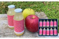 100％ストレートりんご果汁 180ml×10本セット 化粧箱入り 【 りんご リンゴ ジュース 飲料 ギフト 贈答品 】 RT2532
