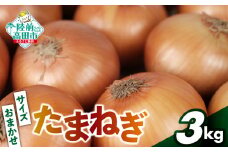 農家直送！ たまねぎ 約3kg サイズはS～2L大小混合 【 玉ねぎ タマネギ 野菜 産地直送 料理 軍見洞農園】 RT2527